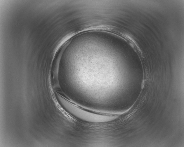 X0000052640952200507082002