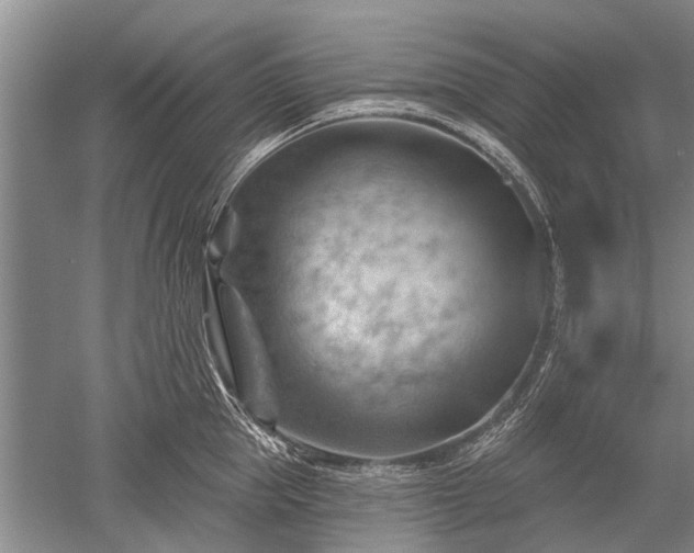 X0000052640953200507082002