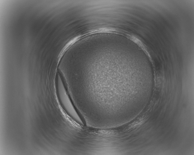 X0000052640954200507082002