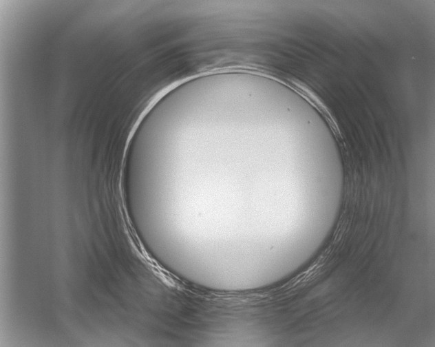 X0000052640956200507082002