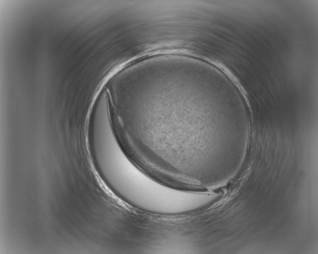 X0000052640957200507082002