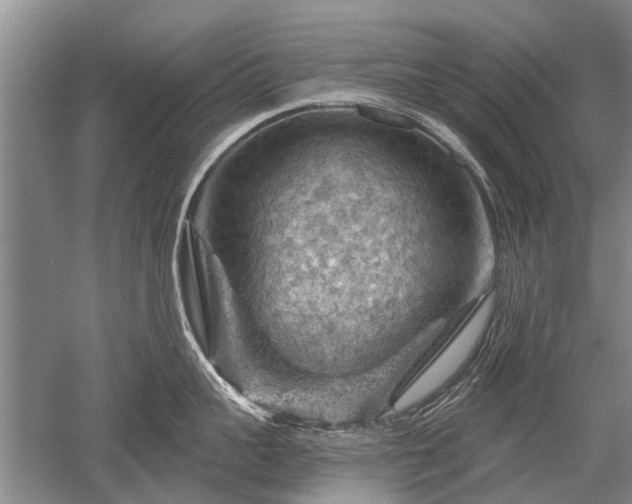 X0000052640959200507082002