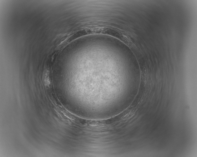 X0000052640962200507082001