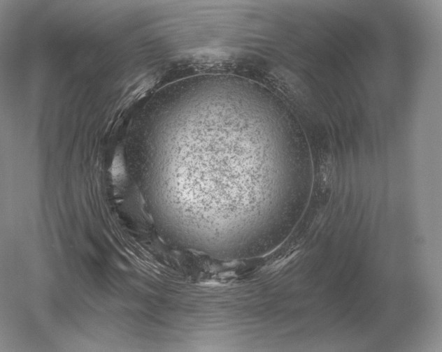 X0000052640964200507082001