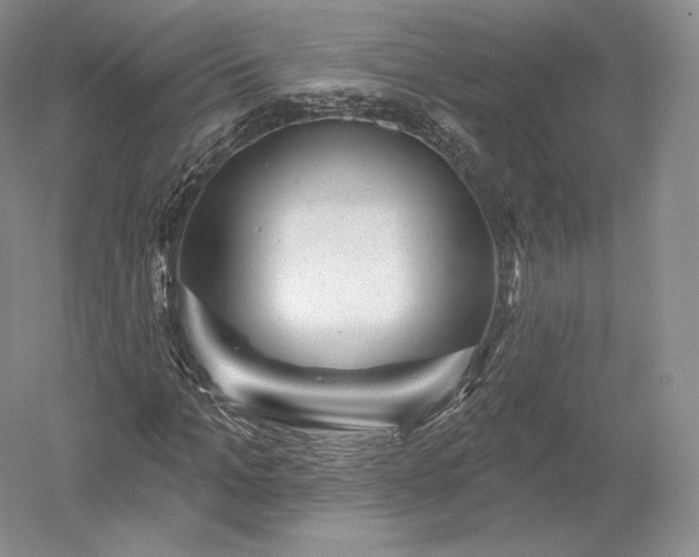 X0000052640965200507082001