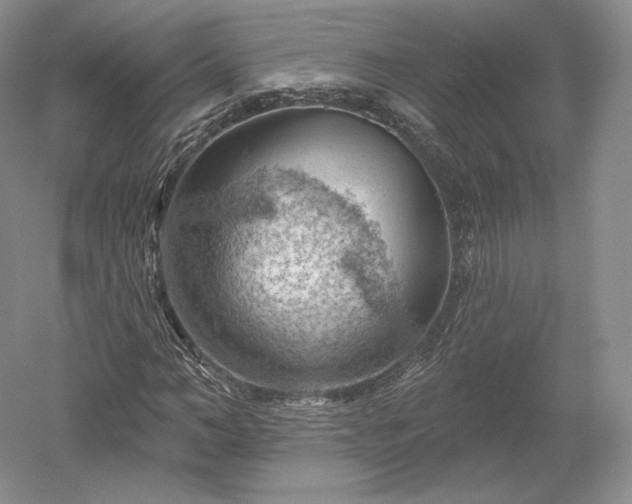 X0000052640966200507082001