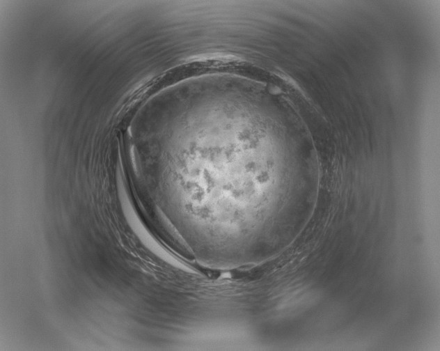 X0000052640967200507082001