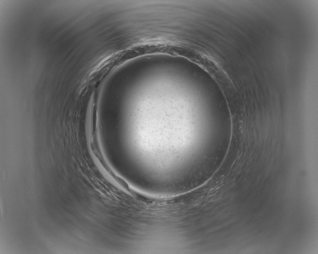 X0000052640968200507082001