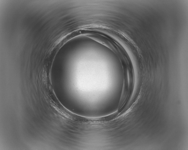 X0000052640969200507082001