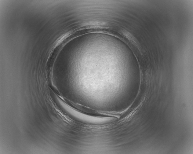 X0000052640970200507082001