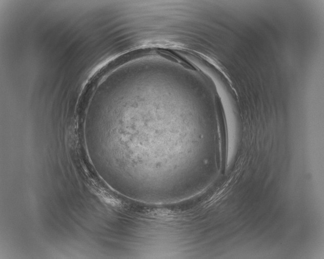 X0000052640971200507082001