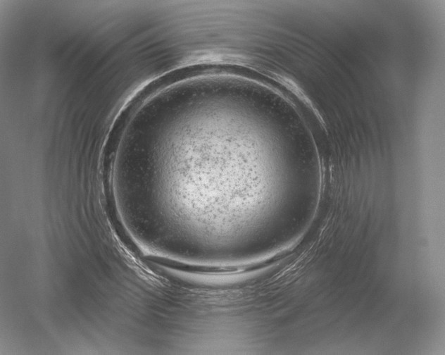 X0000052640972200507082001