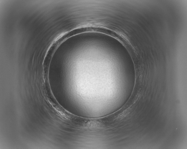 X0000052640974200507082001