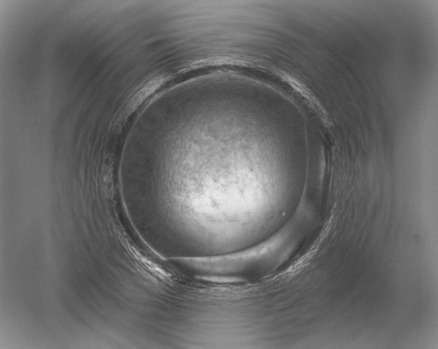 X0000052640977200507082001