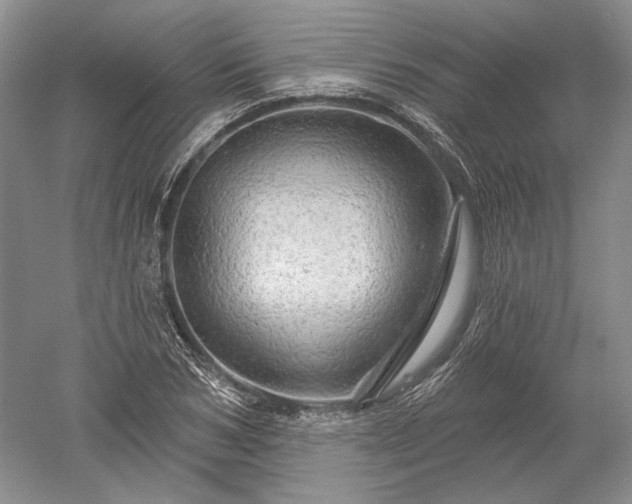 X0000052640978200507082001