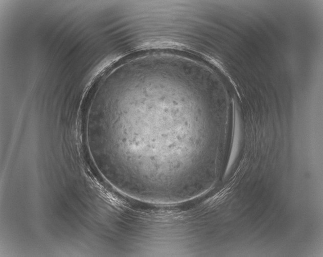 X0000052640979200507082001