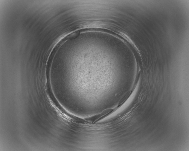 X0000052640980200507082001