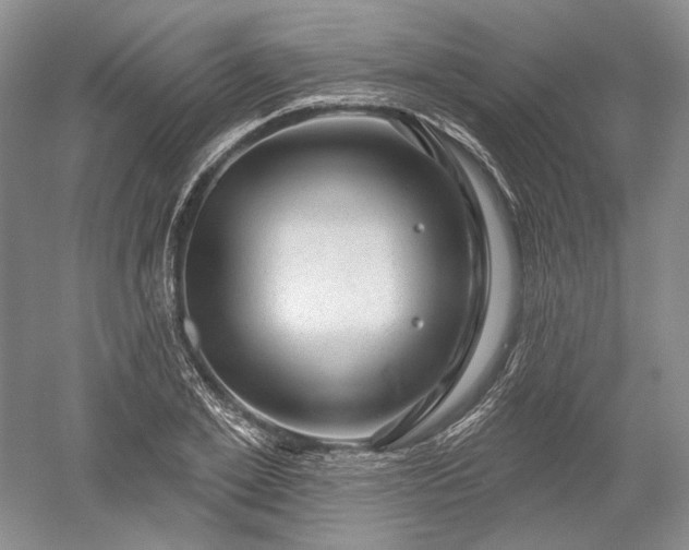 X0000052640981200507082001