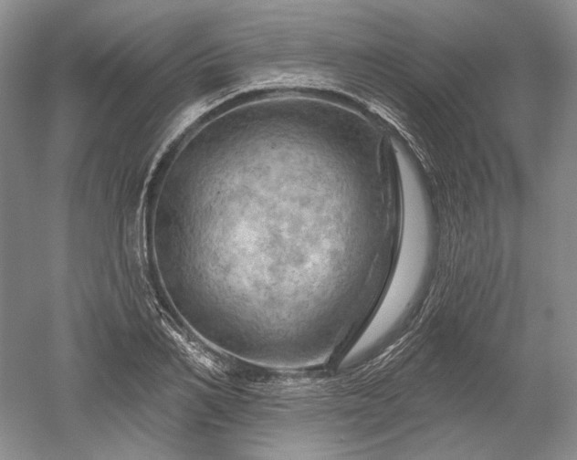 X0000052640982200507082001