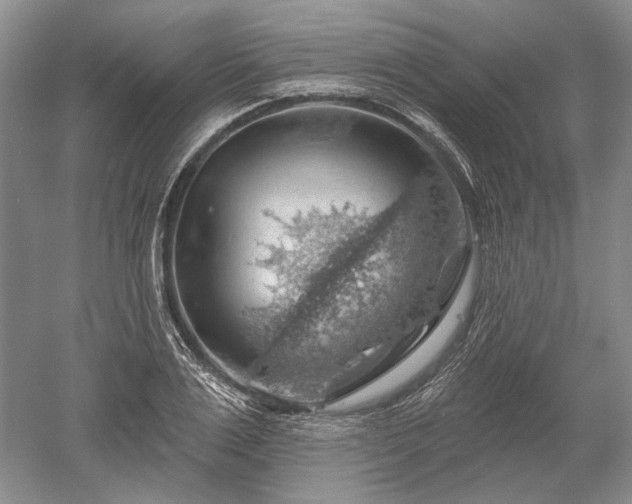 X0000052640983200507082001