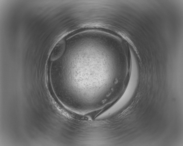 X0000052640984200507082001