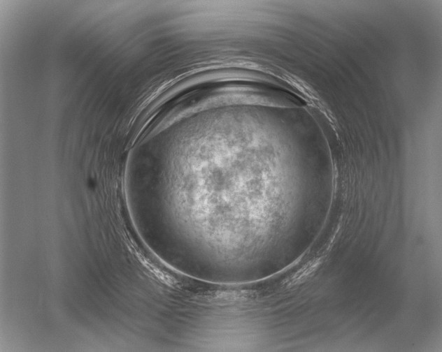 X0000052640985200507082001