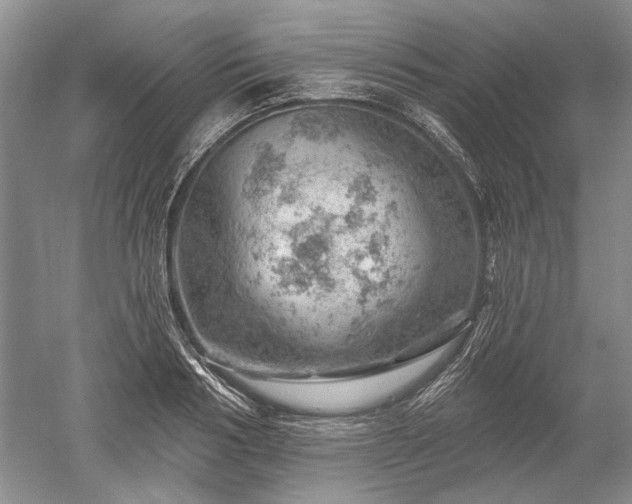 X0000052640986200507082001