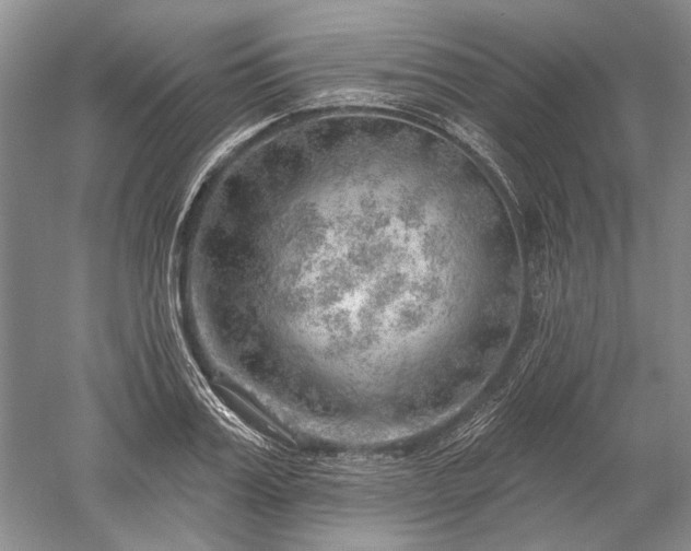 X0000052640987200507082001