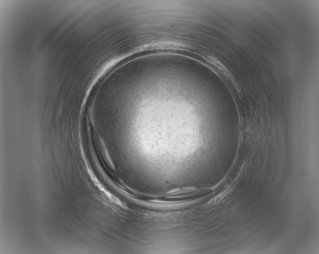 X0000052640989200507082001