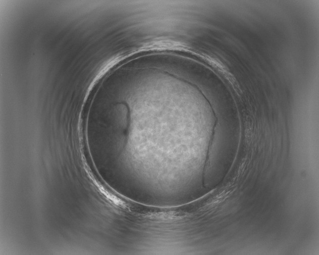 X0000052640990200507082001