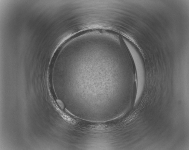 X0000052640991200507082001