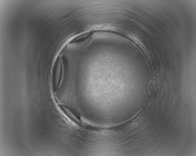 X0000052640992200507082001