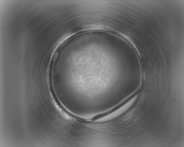 X0000052640995200507082001