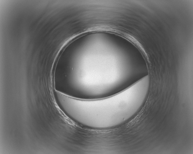 X0000052640996200507082001