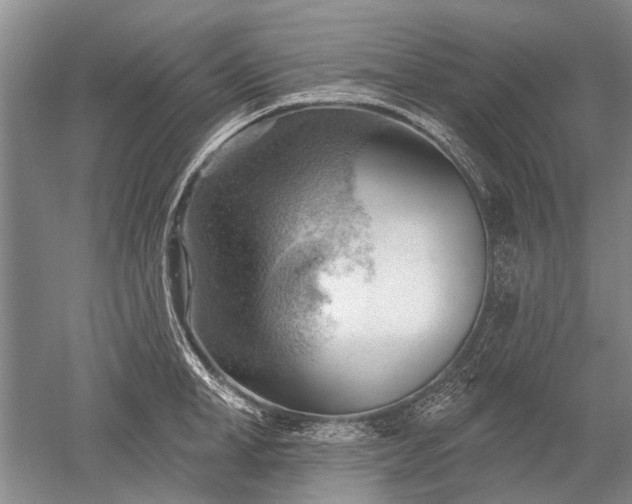 X0000052640998200507082001