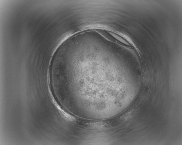 X0000052640999200507082001