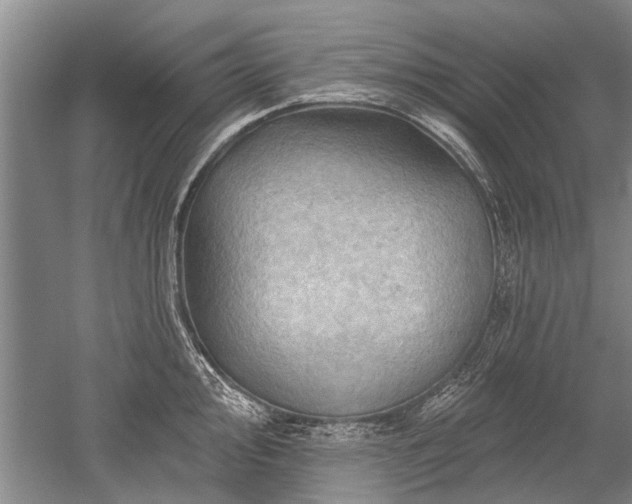 X0000052641000200507082001