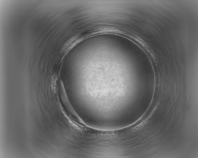 X0000052641001200507082000