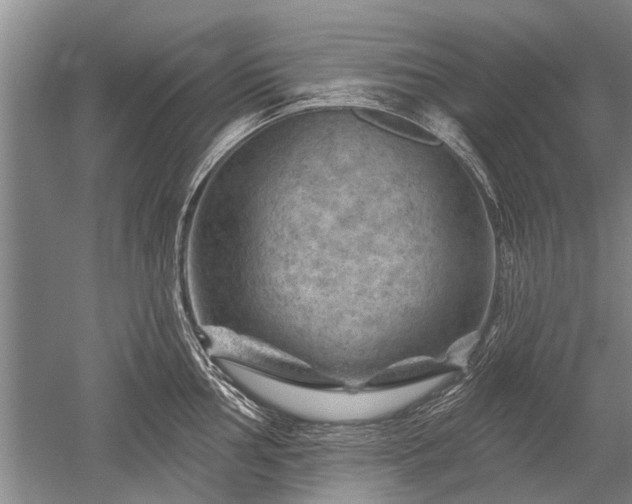 X0000052641002200507082000