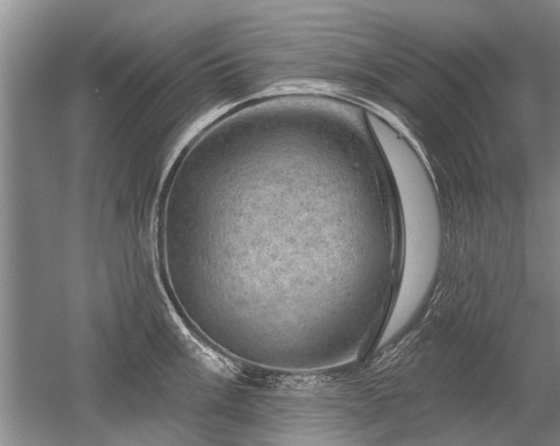 X0000052641003200507082000