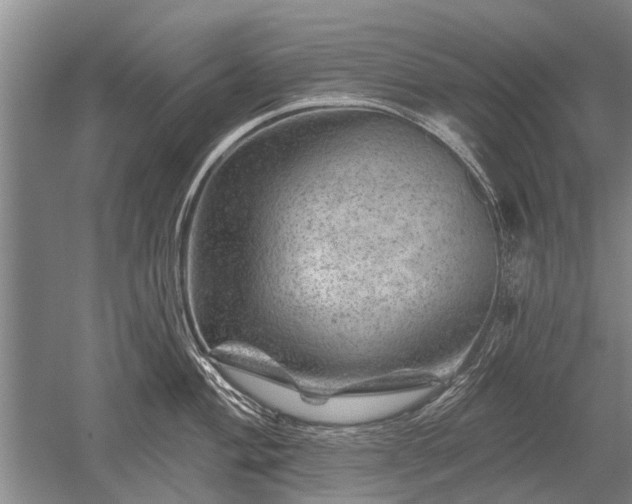 X0000052641004200507082000