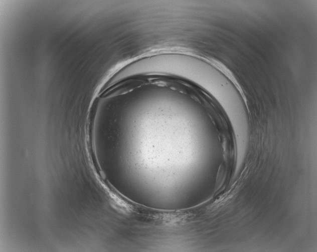 X0000052641005200507082000