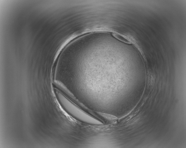 X0000052641006200507082000