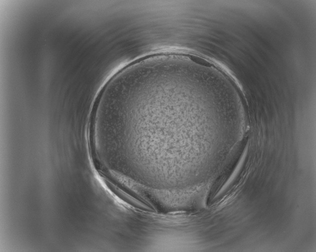 X0000052641007200507082000