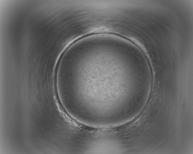 X0000052641008200507082000