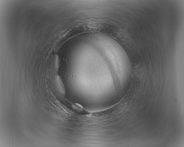 X0000052641009200507082000