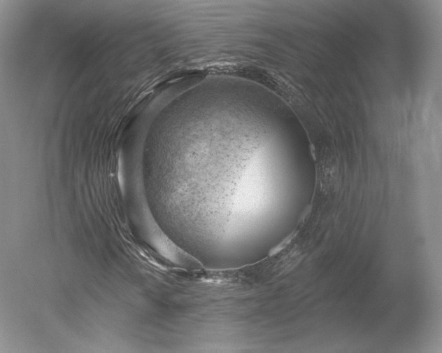 X0000052641010200507082000