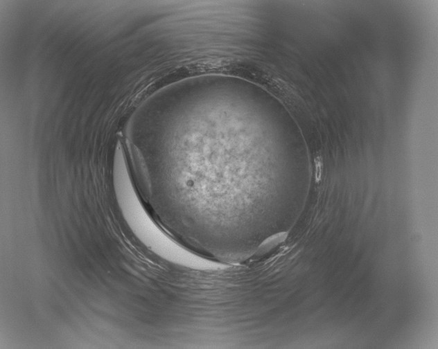 X0000052641011200507082000