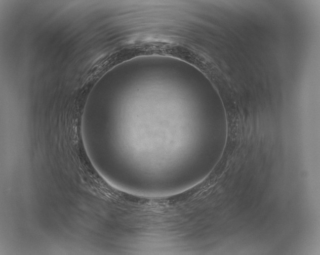 X0000052641013200507082000