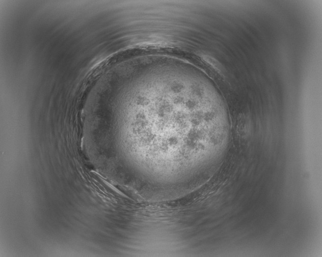 X0000052641015200507082000